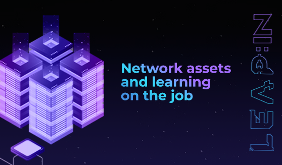 Network assets and learning on the job