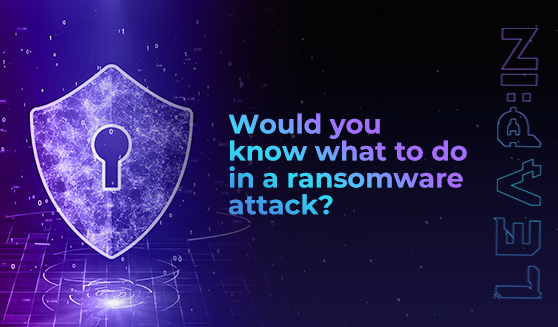 Would you know what to do in a ransomware attack?