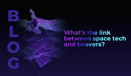 What’s the link between space tech and beavers?