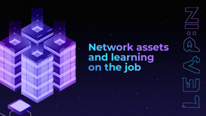 Network assets and learning on the job
