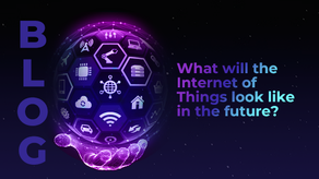 What will the Internet of Things look like in the future?