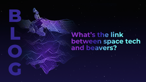 What’s the link between space tech and beavers?