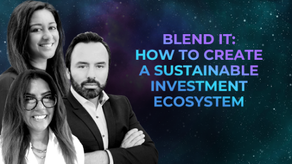 Blend it: how to create a sustainable investment ecosystem