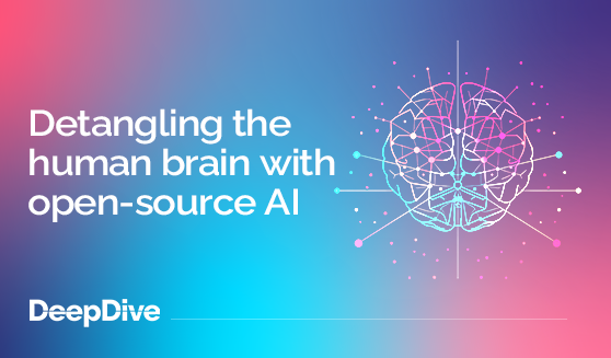Detangling the human brain with open-source AI