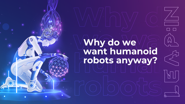 Why do we want humanoid robots anyway?