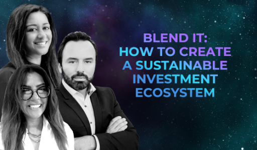 Blend it: how to create a sustainable investment ecosystem